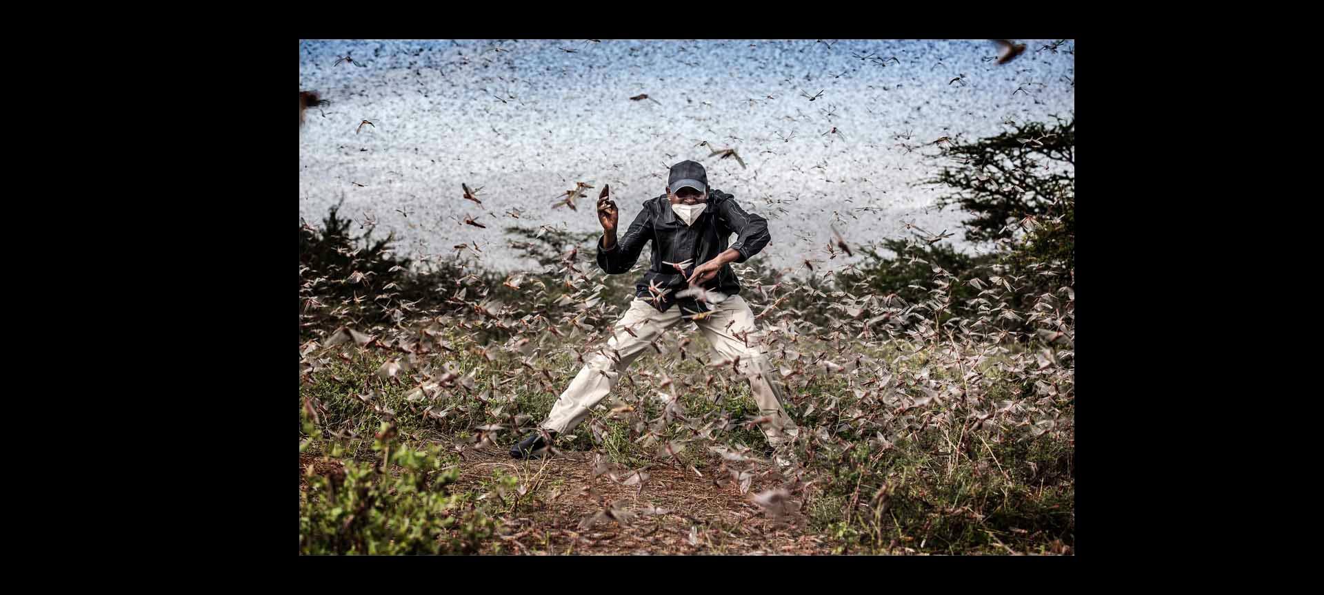 World Press Photo (Vitoria-Gasteiz)