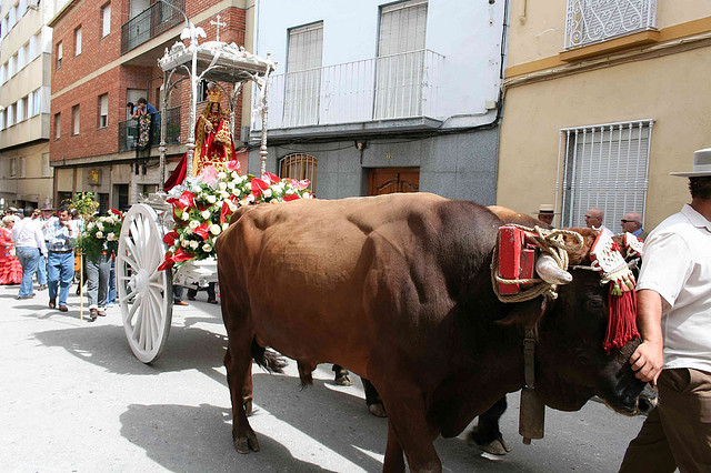 Romería de la Virgen de la Victoria