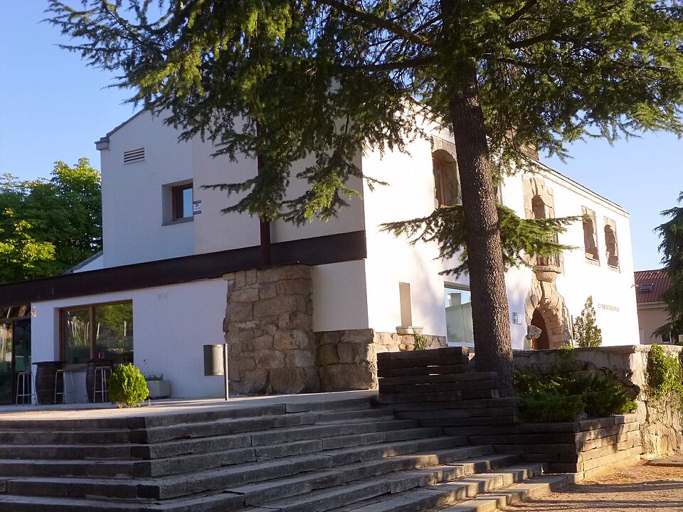 Fiestas de San Antonio de Padua