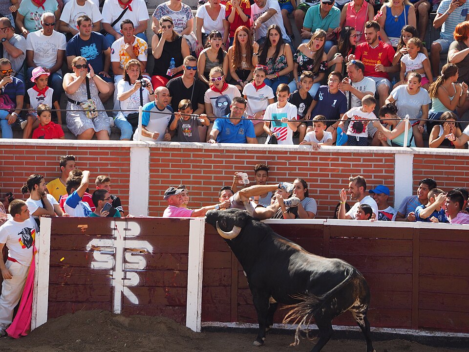 Fiesta de San Sebastián