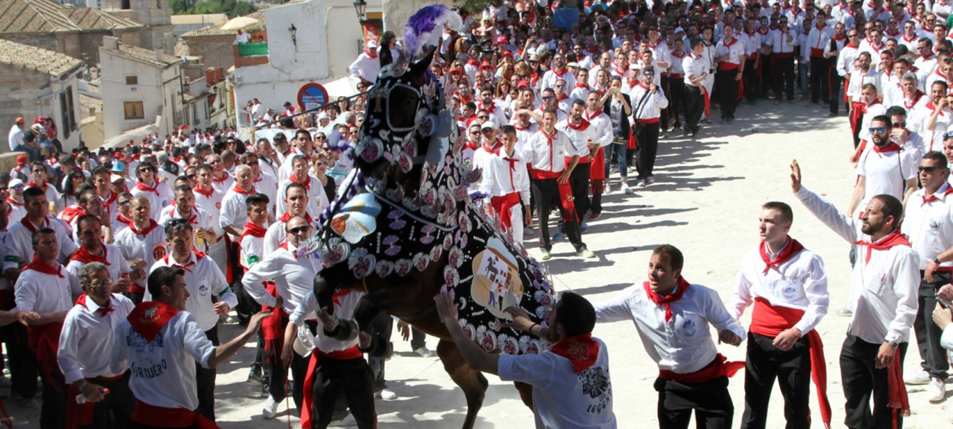 Romería de los Caballos del Vino