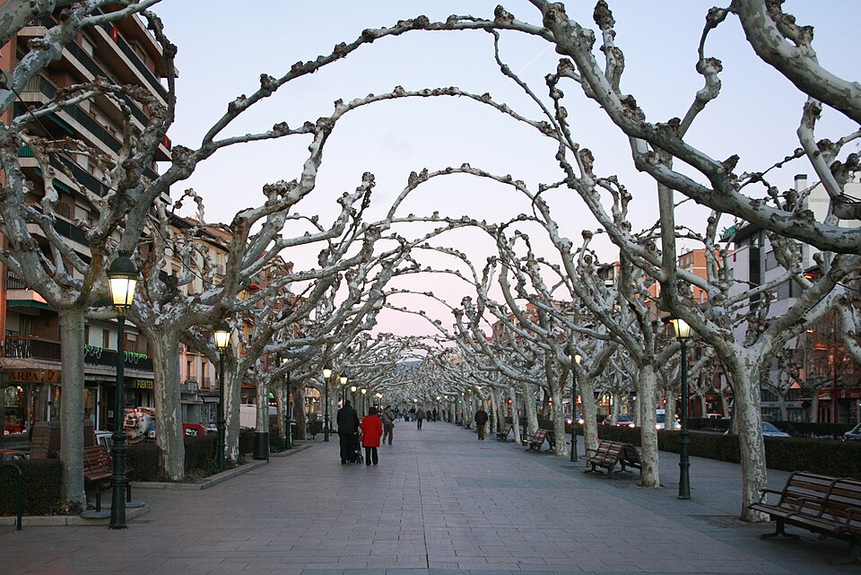 Alfonsadas de Calatayud